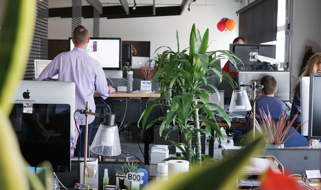 People Sitting at Their Desk in a Office